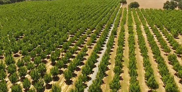 عکس دانیال رجبی
