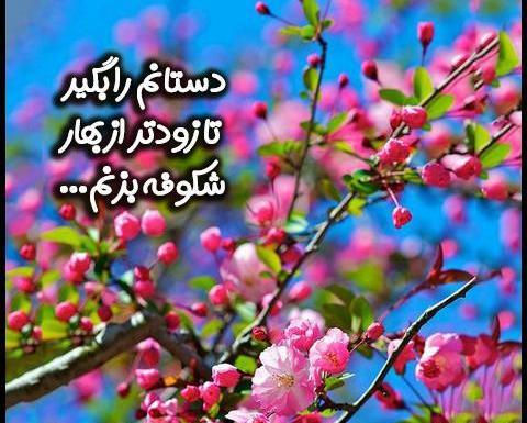 عکس نوشته بهار عزیزم سلام