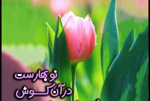 عکس نوشته بهار عزیزم سلام