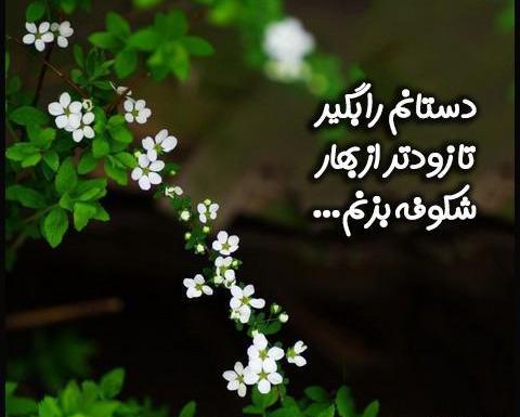 عکس نوشته بهار عزیزم سلام