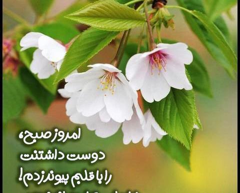 عکس نوشته بهار عزیزم سلام