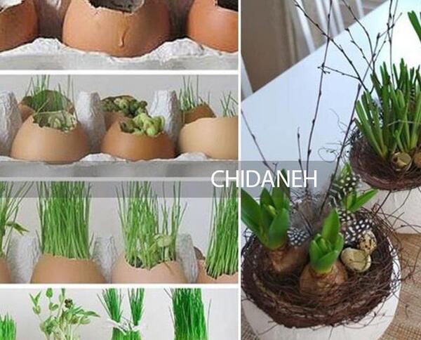 عکس طراحی سبزه عید