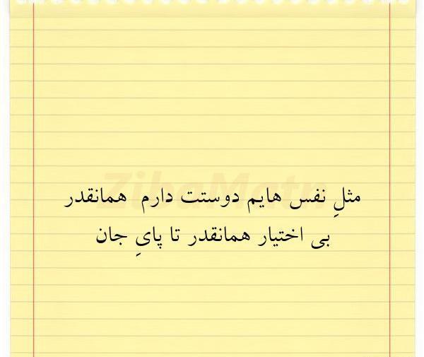 عکس نوشته مثل نفسهایم دوستت دارم