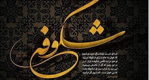 عکس نوشته شکوفه جون تولدت مبارک