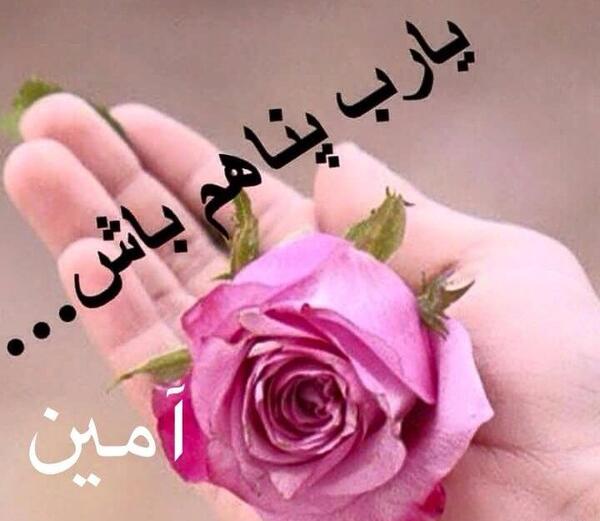 عکس آمین یا رب العالمین