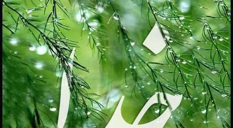 عکس پروفایل طبیعت و خدا