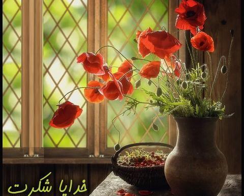 عکس پروفایل طبیعت و خدا