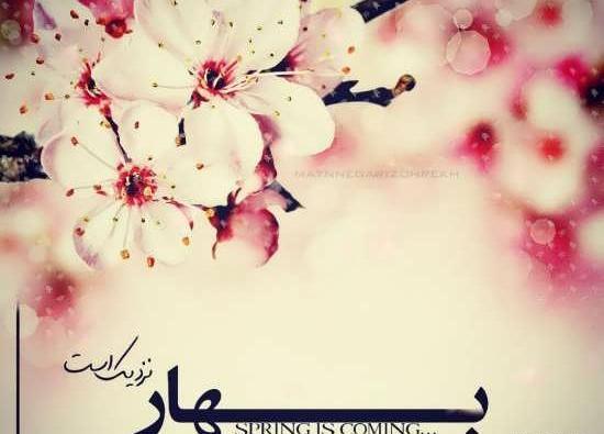 عکس بهاره گل