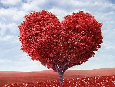 پروفایل دانلود عکس طبیعت عاشقانه