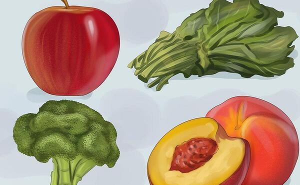 عکس غذای طوطی