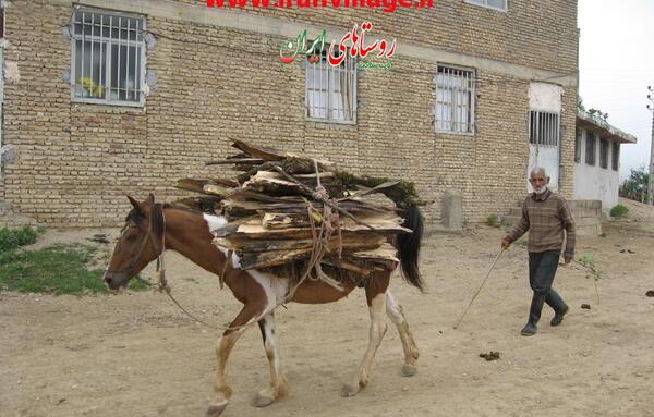 عکس مرد روستایی