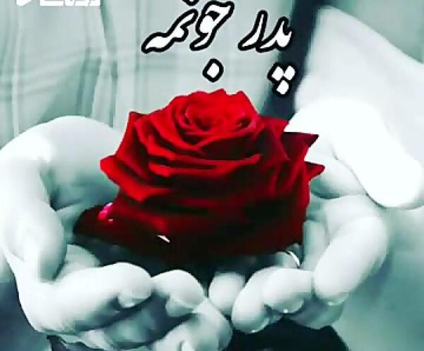عکس بابا جون دوست دارم روزت مبارک