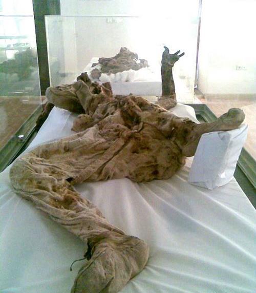 عکس مردان نمکی زنجان