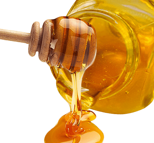 عکس عسل آویشن