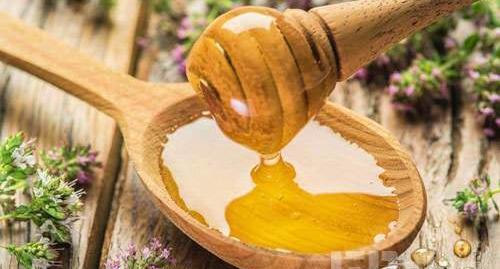 عکس عسل آویشن