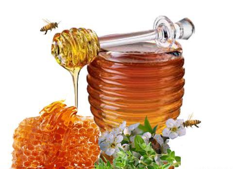 عکس عسل آویشن