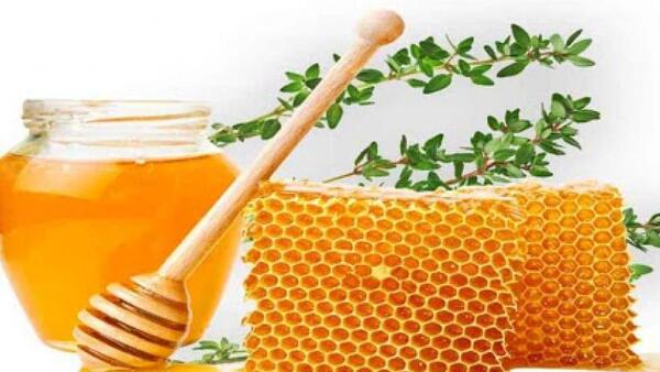 عکس عسل آویشن