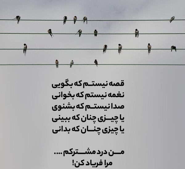 عکس نوشته زیبا از احمد شاملو
