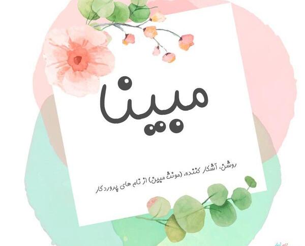 عکس گل مبینا