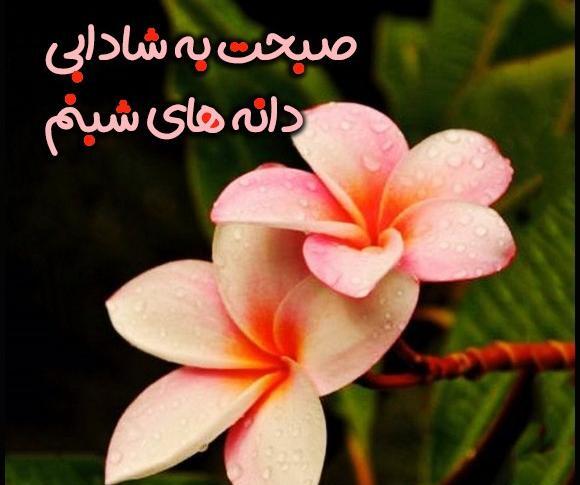 عکس سلام صبح بخیر جدید