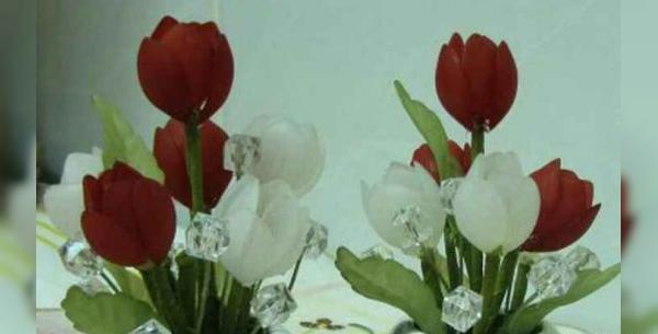 عکس تصاویر گل لاله کریستالی