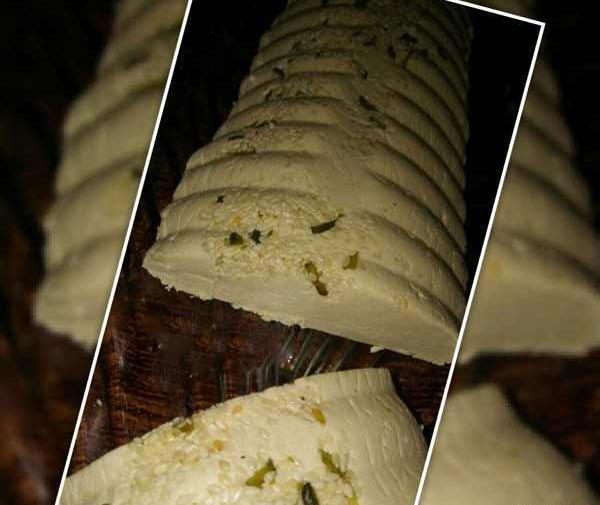 عکس های حلواشکری