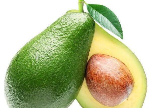 عکس آووکادو کیوت