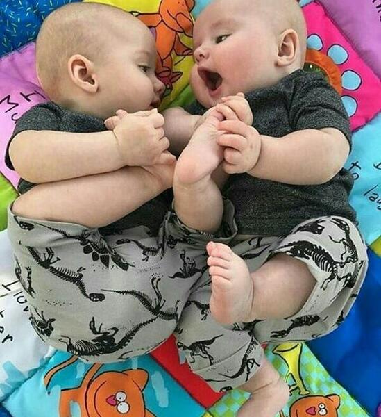 عکس نوشته ساز نی نی سایت