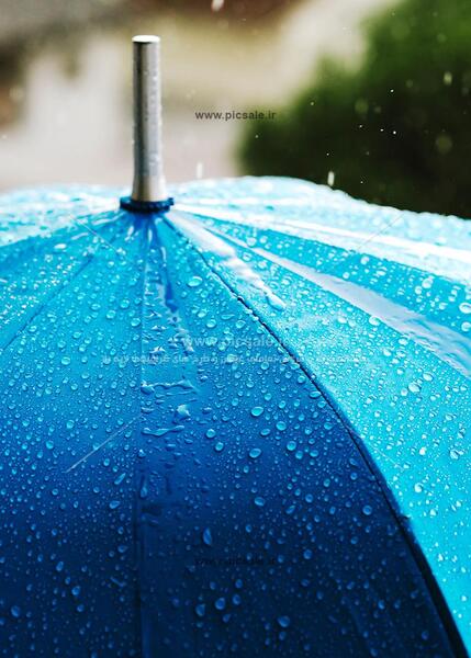 عکسهای باران و چتر