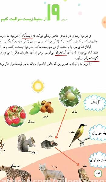 عکس کتاب مطالعات چهارم