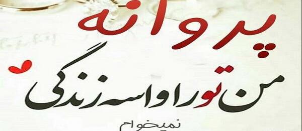 عکس نوشته روی پروانه