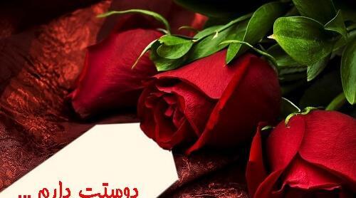 عکسهای گلهای زیبا عاشقانه