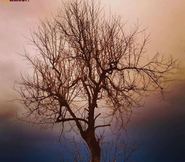 عکس تصویر زمینه غروب افتاب