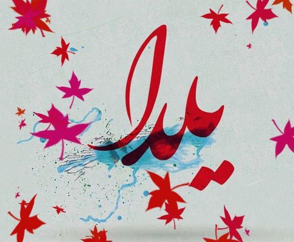 عکس و کلیپ یلدایی