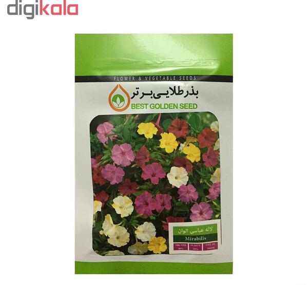 عکس بذر گل لاله عباسی
