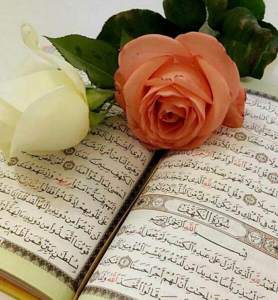 عکس قران الله