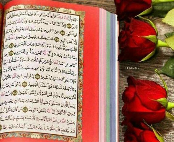 عکس قران الله