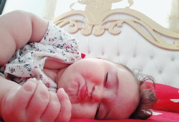 عکس حلما عبدالی