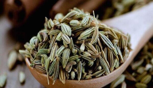 عکس رازیانه سیاه