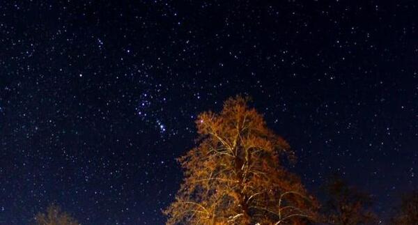 عکس شب طبیعت