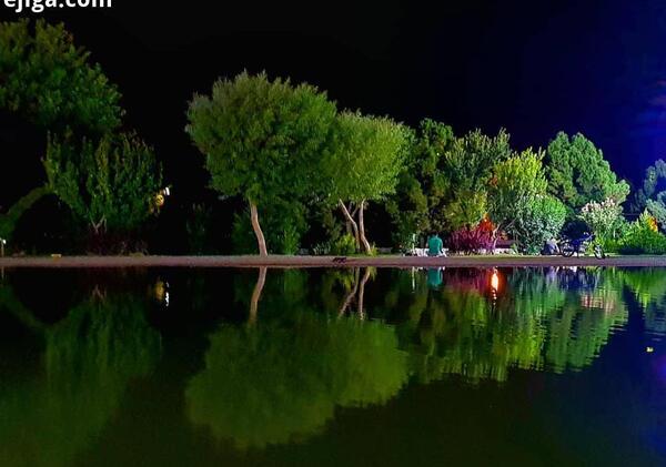 عکس شب طبیعت