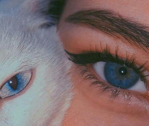 عکس چشم فیک طبیعی