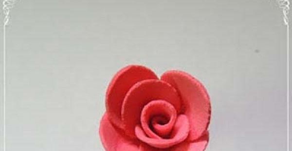 عکس گل رز فوم