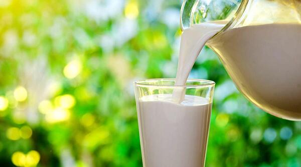 عکس شیر صبحانه