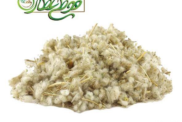عکس مریم گلی در عطاری