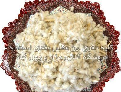 عکس مریم گلی در عطاری
