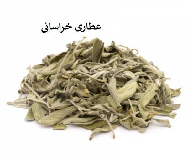 عکس مریم گلی در عطاری
