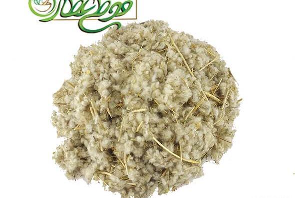 عکس مریم گلی در عطاری