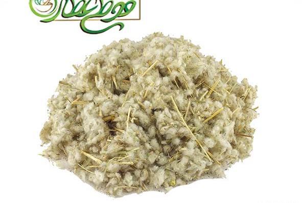 عکس مریم گلی در عطاری