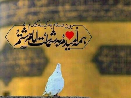 عکس نوشته امام رضا